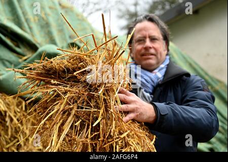 Trier, Germania. Decimo Dec, 2019. Joachim Molz, primo presidente del club di equitazione Trier, detiene il letame equino con paglia nelle sue mani. Molz vede un grande potenziale in cavalli' lasciti e vuole trasformare il letame di cavallo in denaro mediante la preparazione di compost per la vendita al riparto giardinieri, orticoltori e i viticoltori. (A dpa nuovo Business: Trier piloti vogliono trasformare il letame equino in denaro) Credito: Harald Tittel/dpa/Alamy Live News Foto Stock