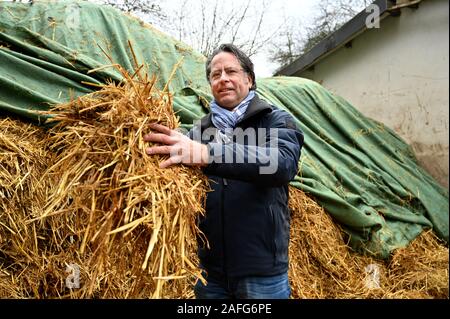 Trier, Germania. Decimo Dec, 2019. Joachim Molz, primo presidente del club di equitazione Trier, detiene il letame equino con paglia nelle sue mani. Molz vede un grande potenziale in cavalli' lasciti e vuole trasformare il letame di cavallo in denaro mediante la preparazione di compost per la vendita al riparto giardinieri, orticoltori e i viticoltori. (A dpa nuovo Business: Trier piloti vogliono trasformare il letame equino in denaro) Credito: Harald Tittel/dpa/Alamy Live News Foto Stock