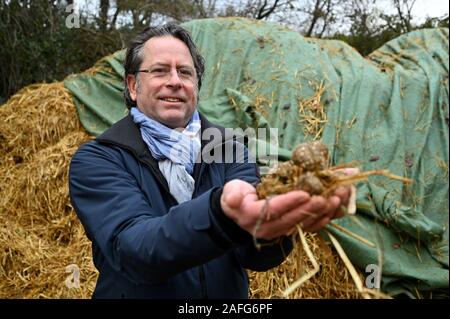 Trier, Germania. Decimo Dec, 2019. Joachim Molz, primo presidente del club di equitazione Trier, detiene il cavallo letame nelle sue mani. Molz vede un grande potenziale in cavalli' lasciti e vuole trasformare il letame di cavallo in denaro mediante la preparazione di compost per la vendita al riparto giardinieri, orticoltori e i viticoltori. (A dpa nuovo Business: Trier piloti vogliono trasformare il letame equino in denaro) Credito: Harald Tittel/dpa/Alamy Live News Foto Stock