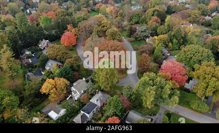 Residenziale elegante area suburbana con un sacco di verde e di alberi in un colorato fogliame di autunno, vista aerea del centro storico di ville residenziali e case Foto Stock