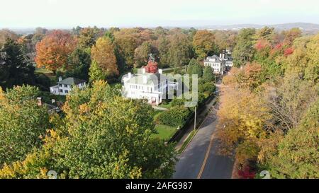 Vista aerea della suburbana elegante zona residenziale con ville di lusso e ville circondate da alberi e vegetazione, immobili e architettura Foto Stock