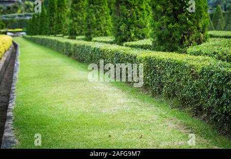 Paesaggio di prati verdi percorso in giardino Foto Stock