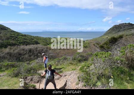 Gli escursionisti sul sentiero a Alamere Falls, Point Reyes National Seashore. Il punto Reyes promontori può essere visto in lontananza. Foto Stock