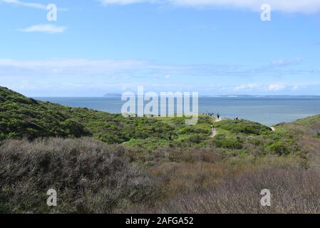 Gli escursionisti sul sentiero a Alamere Falls, Point Reyes National Seashore. Il punto Reyes promontori può essere visto in lontananza. Foto Stock