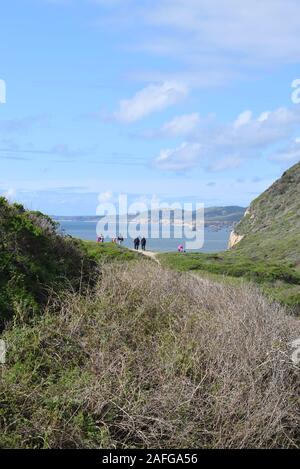 Gli escursionisti sul sentiero a Alamere Falls, Point Reyes National Seashore. Il punto Reyes promontori può essere visto in lontananza. Foto Stock