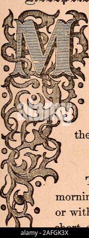 "Il nostro portamento; o, i modi, il comportamento e il vestito dei più raffinati della società; comprese le forme per lettere, inviti, ecc. Inoltre, preziosi suggerimenti su home cultura e formazione" (1885) Foto Stock