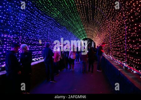 Houston, Stati Uniti d'America. 15 Dic, 2019. Ai visitatori di ammirare una luce di Natale mostra presso lo Zoo di Dallas a Dallas, Texas, Stati Uniti, 15 dicembre 2019. Credito: Dan Tian/Xinhua/Alamy Live News Foto Stock