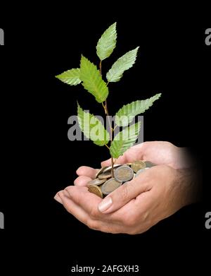 Le mani con un albero growng dalla pila di monete Foto Stock