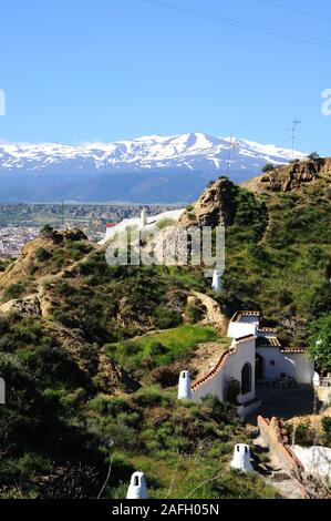 Vista in elevazione della grotta delle abitazioni nel trimestre troglodita (Barriada de las Cuevas), Guadix, provincia di Granada, Andalusia, Spagna, Europa Foto Stock