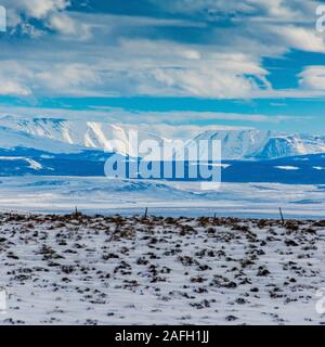 Splendido scenario di un campo coperto di neve bianca toccante il cielo Foto Stock