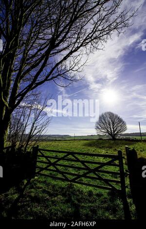 Terreni agricoli in Yorkshire Foto Stock