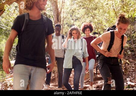 La millenaria amici escursionismo insieme in discesa su un sentiero forestale, tre quarti di lunghezza Foto Stock