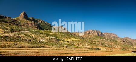 Etiopia, Tigray, Enda Madhanialam, Hiwane, campi agricoli preparato per la semina nel paesaggio roccioso, panoramica Foto Stock