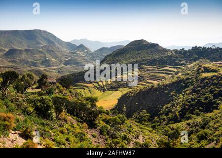 Etiopia, Tigray, K'Eyih, a schiera campi agricoli nel paesaggio spettacolare al tempo del raccolto Foto Stock