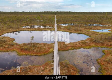 Ecopark nelle torbiere con piccoli laghi e sentieri di legno. Terreno paludoso nel mezzo di Estonia Foto Stock