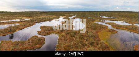 Ecopark nelle torbiere con piccoli laghi e sentieri di legno. Terreno paludoso nel mezzo di Estonia Foto Stock