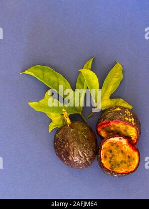Posa piatto composizione mostra un intero frutto della passione e uno fette di frutto della passione con alcune foglie di vite su uno sfondo blu Foto Stock