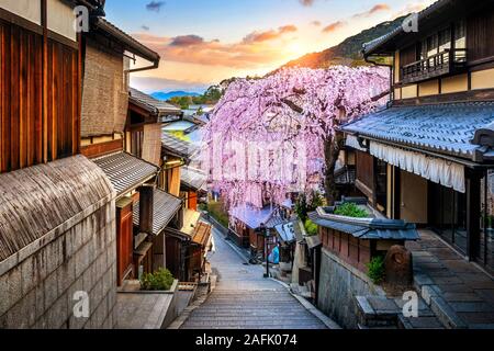 La fioritura dei ciliegi nel periodo primaverile presso lo storico quartiere di Higashiyama, Kyoto in Giappone. Foto Stock