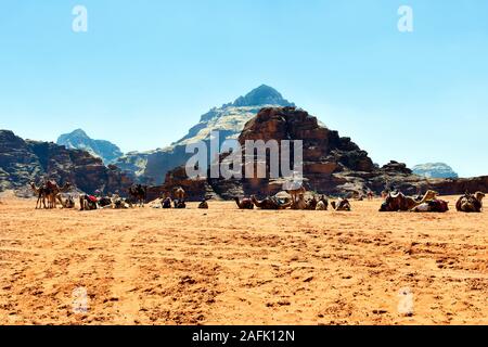 Il Wadi Rum, Giordania - Marzo 07, 2019: persone non identificate, beduini e cammelli nel patrimonio mondiale dell UNESCO nel Medio Oriente Foto Stock