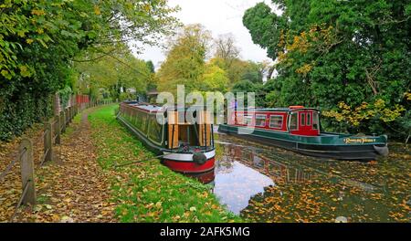 Il canale Bridgewater in autunno, Grappenhall Village, chiatta ormeggiata e un giorno Barca che passa sulla destra, Warrington, Cheshire, Inghilterra, Regno Unito, WA4 2SJ Foto Stock