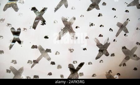 Segni neri disegnati a mano con tempera e pennello. Foto Stock