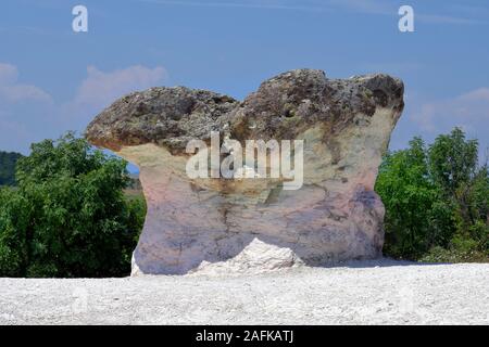 La Bulgaria, fenomeno naturale formazione di roccia denominata fungo rocce aka funghi in pietra, situato nel piccolo villaggio Beli Plast nei pressi di Kardzhali Foto Stock