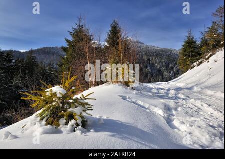 Bella vista sulle montagne innevate nella giornata di sole in inverno Foto Stock