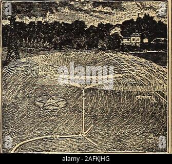 . Manuale di tutto per il Giardino : 1894. trim-ming la sovrastante erba intorno i bordi ofwalks, ecc. Prezzo, con 9 pollici lama, $2,50, o withwheel, $3.00. Cesoie tagliaerba. Per il taglio di erba sotto arbusti,recinti, ecc. Prezzo, con 2 ruote, 9 pollici lame,$2.75. Fresa di erbaccia. Un cesello-lama, con piede-resto, soit può essere premuto, il taglio di radici di piante infestanti con-out macchiare il prato. Prezzo, 50c. Erba o bordatura Turf1 coltelli. Per trimmingthe confini di passeggiate, ecc. Prezzo, completare withhandle, 50c. ciascuno. Falciatrici a prato. Ampia palette. Dimensioni, 32, 34, 36e 38 pollici. Prezzo, ciascuno, $1.00. Falce Snaths o ha Foto Stock