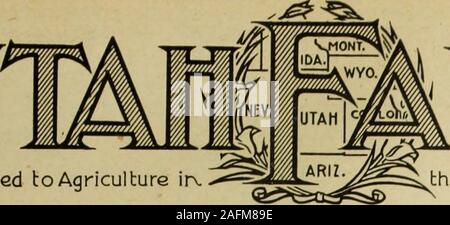 . La Utah Farmer : dedicato all'agricoltura nella regione di Rocky Mountain. Dedicato bo agricoltura irv Foto Stock
