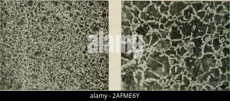 . Le transazioni. Come ricevuto. Laminati a caldo. Brinell hard- normalizzati. Ricotti da 1.000°C.ness, 160. Durezza Brinell, 155. Fig. 21.-analisi: C, 0,46; Aln, 0,40; Si, 0,144, S, 0,50; p, 0,020 per cento.. Come ricevuto. Laminati a caldo. Brindl hard- normalizzati. Ricotti da 1.000^C.ness, 183. Durezza Brinell, 179. Fig. 22.-analisi: C, 0,49; Mn, 0,60; Si, 0,127; S, 0,028; P, 0,013 per cento. Foto Stock