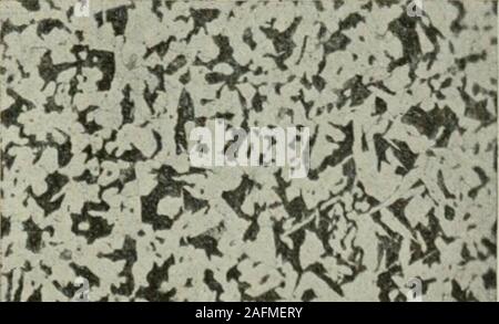 . Le transazioni. Come ricevuto. Laminati a caldo. Brinell hard-ness, 144.Fig. 20.-analisi: C, 0,32; Mn, 0,51; normalizzati. Ricotti da 1.000C. Durezza Brinell, 134.Si, 0,128; S, 0,027; P, 0,009 per cento. 232 proprietà fisiche dei trattati a caldo in acciaio al carbonio Foto Stock