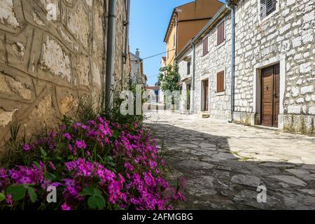 Un po' di ciottoli street in un paese mediterraneo. Le case su entrambi i lati sono di pietra. Una splendida finestra persiane. Ci sono fiori viola gr Foto Stock