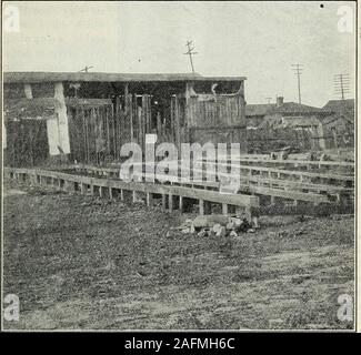 . Legname condizioni di stoccaggio in Europa orientale e sud degli Stati Uniti con riferimento ai problemi di decadimento. Legname accatastati trovanella aperto deve essere al-rallentato ventilationaround il individ-ual pezzi, e la Fig. 21.-Pecky cypress fondazioni in uso presso un mulino inSouth Carolina. Ogni quadrato grande contiene da 500 scheda toGOO piedi. Questo tipo di costruzione non notallow sufficiente ventilazione sotto i pali. è solitamente disposto per lo storage in pratica. In alcuni casi tuttavia, questa necessità è ignorato in alcuni TIMBEK STORAGE IN EUROPA ORIENTALE E SUD DEGLI STATI UNITI. 23 iarde al dettaglio dove è consuetudine di Foto Stock