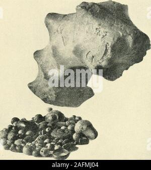 . La religione del Crow indiani. Fig. 1 50.1-4008(a). Medicina Rock con offerte. 386. Fig. 2 (50.1-4010). Medicina Rock con offerte. 387 388 carte antropologica del Museo Americano di Storia Naturale. [Vol. XXV^ preso da un canto la carne cotta festa, anche se uno stato successivo-mento indica che lo ha usato con i suoi altri quando egli himseK arrangedthis ceremonj-. Una delle altre pietre assomigliava a una testa di Buffalo, stillanother aveva le corna e la parvenza di occhi ma grigio-toro non knowwhat era. La sua principale hacoritsitse ha mantenuto racchiuso in diversi clothwrappers, il tutto essendo sto Foto Stock