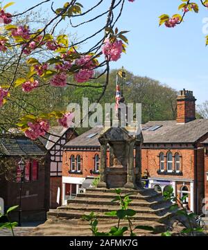 Lymm Cross e Spring Blossom, Warrington, Cheshire, Inghilterra, Regno Unito Foto Stock