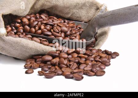 Scoop di caffè con fagioli Foto Stock