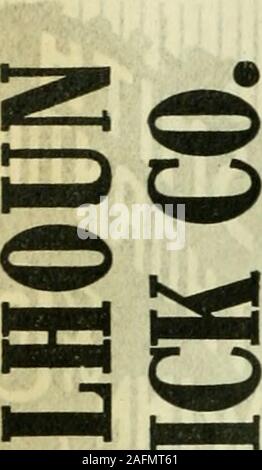 . Atlanta City Directory. Belle, vedova Duca, r 188 S Forsyth " Byron (Minnie), commerciante di carni Nat ords Stock, r 34 Howell Mill rd" Ella Miss, cancelliere Ruralist meridionale, r East Point, Ga Fannie Miss, bkkpr Nat cantieri Stock, r 41 Howell Mill rdJessie Miss, r 41 Howell Mill rd Joseph E, live stock Stock Nat cantieri, r 41 Howell Mill rdNora Miss, cassiere ricca Bros, r 188 S ForsythSallie Mrs, sarta Keely Co, r 174 Woodward avS Miss, sarta alti, r 123 GarnettBettman Louis, credito uomo figlio mobili Co, r 317 Il GrandBetts Bettie (c), domestici, r 175 E Ellis" Edward (c), cameriere, r 307 Auburn av" Foto Stock