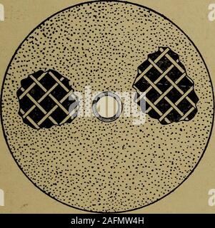 . Elettroplaccatura; un trattato per i principianti e per i più esperti electroplater. Fig. 39. Bull-Neck Volante in pelle fig. 41. Ruota di tricheco. Foto Stock