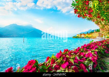 Città di Bellagio e fiori in Como lake district. Italiano tradizionale villaggio sul lago. L'Italia, l'Europa. Foto Stock