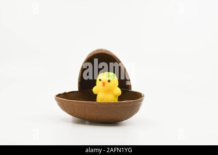 Unico piccolo giallo pulcino modello seduto in mezzo al cioccolato uovo di pasqua isolato su sfondo bianco Foto Stock