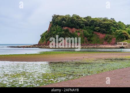 Il Ness nel Shaldon, visto da Teignmouth nel Devon, Inghilterra, Regno Unito Foto Stock