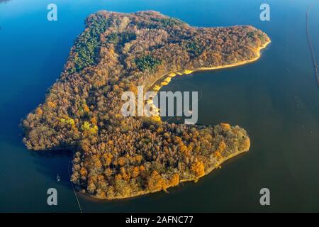 Foto aerea, bosco misto al lago, isola di serbatoio in Halterner Stausee, Haltern am See, la zona della Ruhr, Renania settentrionale-Vestfalia, Germania, DE, Eur Foto Stock