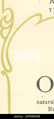 . Affidabili stufe a gas e le gamme. Gamma Four-Burner con lato Broiling andWater riscaldamento allegati Manu- NaturalGas Forno di cottura SideBroilerOpening dimensioni della parte superiore compreso Altezza ripiano ofRange CratedWeight facturedGas ampia profonda alto prezzo n. 487 n. 488 18K 18^ 12 11x9 46x27 32 a. 325 libbre $62.00 Per informazioni relative alla costruzione e attrezzatura di questa gamma,leggere pagina 33. V J trentasette R. RESPONSABILE IL KLEAN KOOL CUCINA TIPO Foto Stock