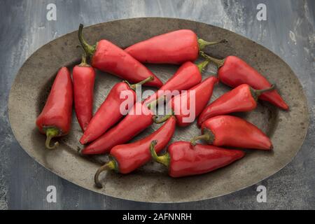 Una chiusura studio foto di peperoncino rosso su un piatto. Foto Stock