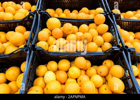 Vista di freschi arance mature nelle caselle nel supermercato Foto Stock