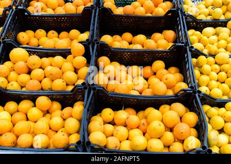 Vista di freschi maturi di arance e di limoni in scatole in supermercato Foto Stock