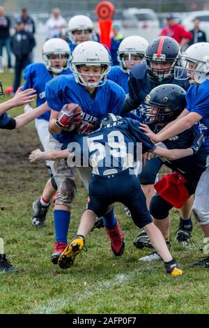 Andover, Minnesota. Il calcio giovanile. La scuola media di gioco di calcio. Running back getting affrontato. Foto Stock
