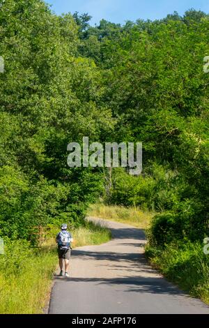 Un viaggiatore solitario nella campagna toscana d'estate Foto Stock