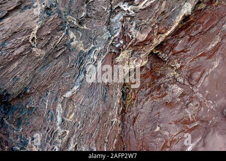 Era devoniano rocce a Saltern cove a sud di Paignton , Devon, Regno Unito, nell'UNESCO global geopark. Foto Stock