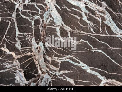 Era devoniano rocce a Saltern cove a sud di Paignton , Devon, Regno Unito, nell'UNESCO global geopark. Foto Stock